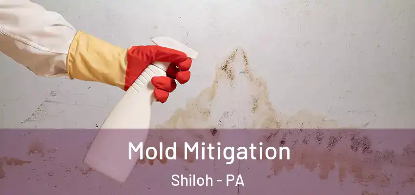 Mold Mitigation Shiloh - PA