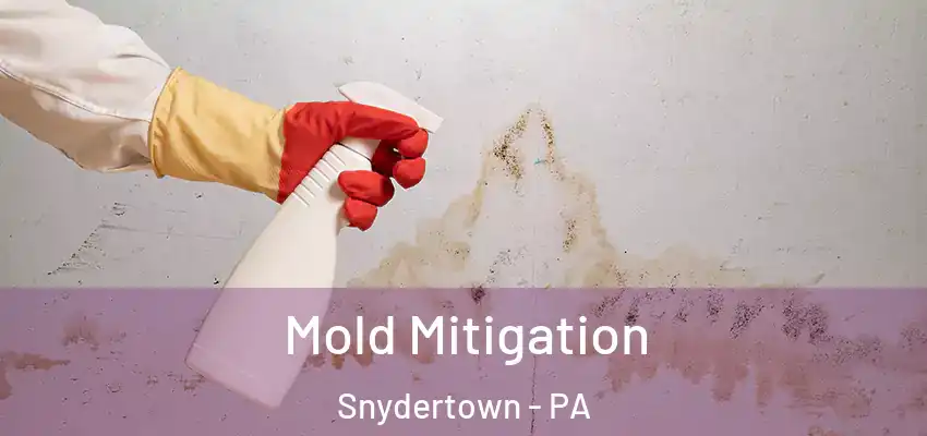  Mold Mitigation Snydertown - PA