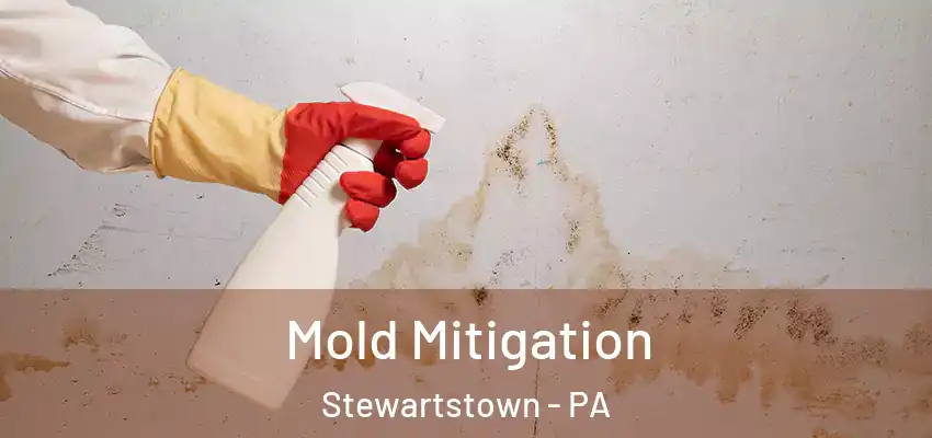  Mold Mitigation Stewartstown - PA