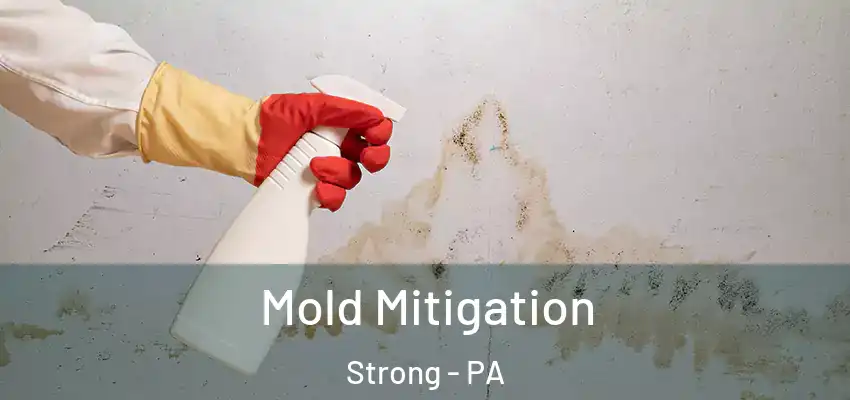 Mold Mitigation Strong - PA