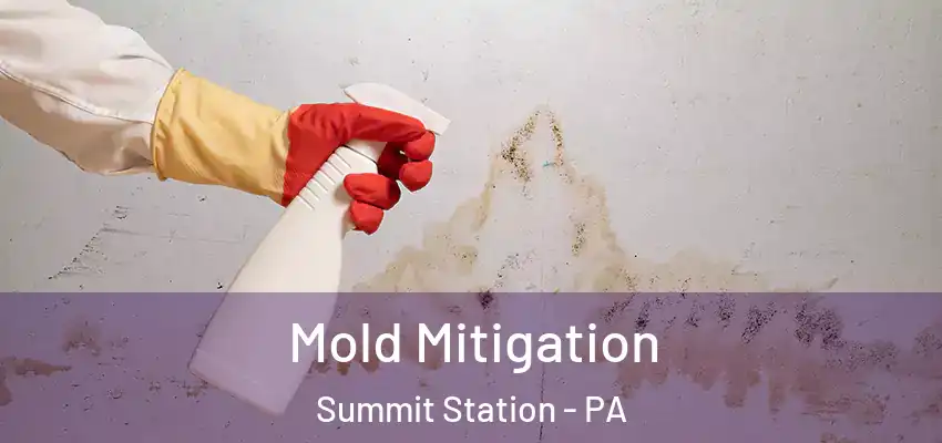 Mold Mitigation Summit Station - PA