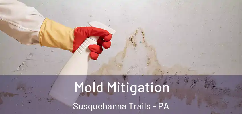  Mold Mitigation Susquehanna Trails - PA