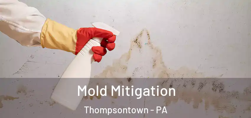 Mold Mitigation Thompsontown - PA