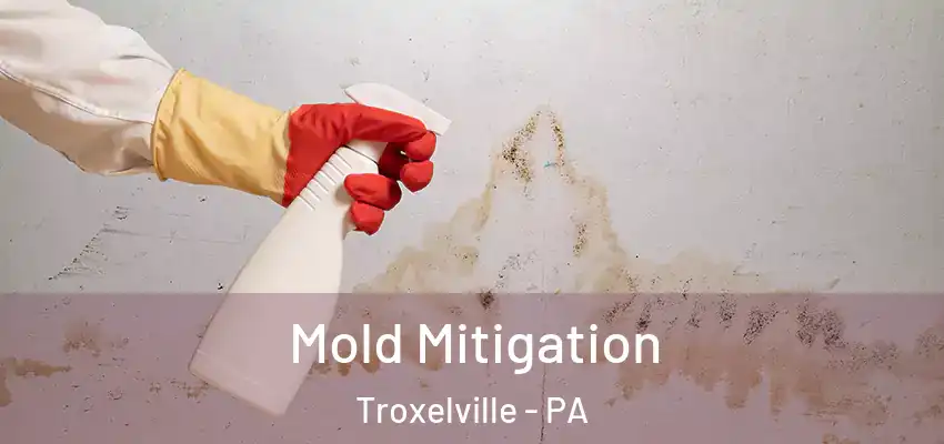 Mold Mitigation Troxelville - PA