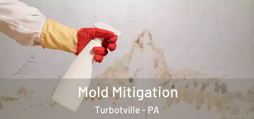  Mold Mitigation Turbotville - PA