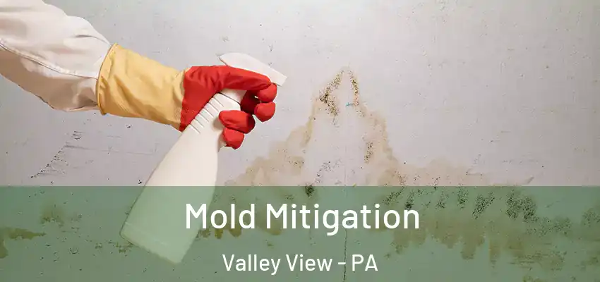 Mold Mitigation Valley View - PA