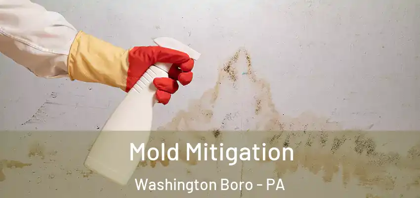  Mold Mitigation Washington Boro - PA