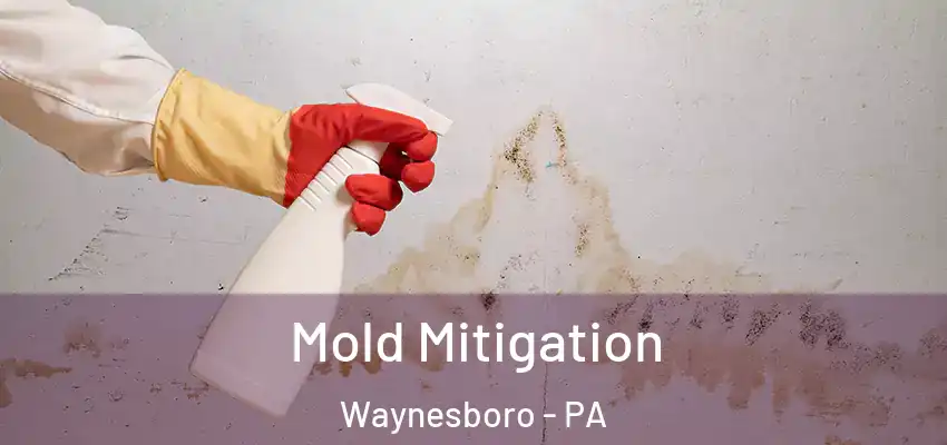 Mold Mitigation Waynesboro - PA