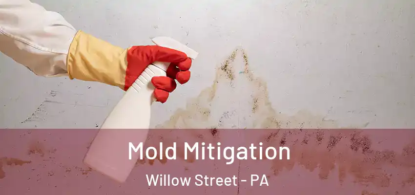 Mold Mitigation Willow Street - PA