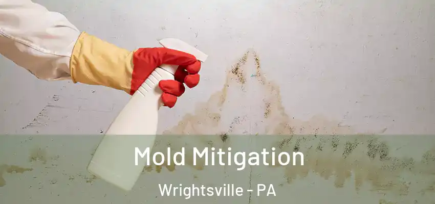 Mold Mitigation Wrightsville - PA