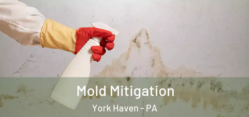  Mold Mitigation York Haven - PA