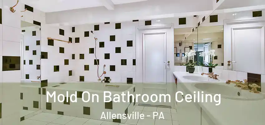  Mold On Bathroom Ceiling Allensville - PA