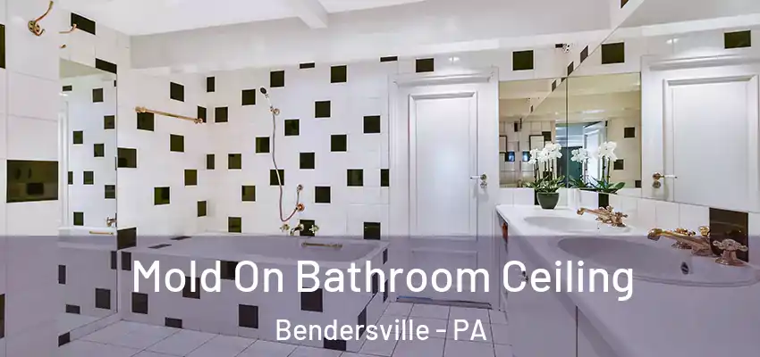 Mold On Bathroom Ceiling Bendersville - PA