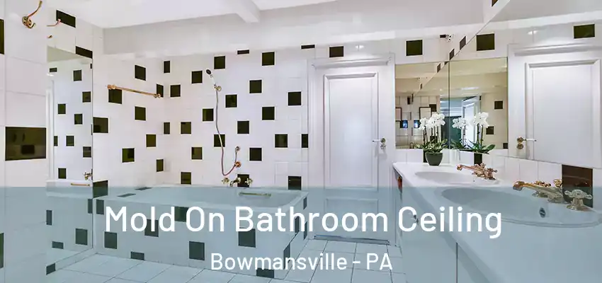  Mold On Bathroom Ceiling Bowmansville - PA