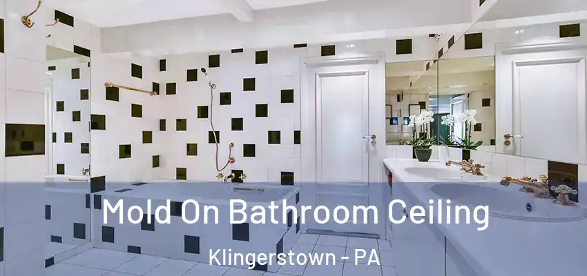 Mold On Bathroom Ceiling Klingerstown - PA
