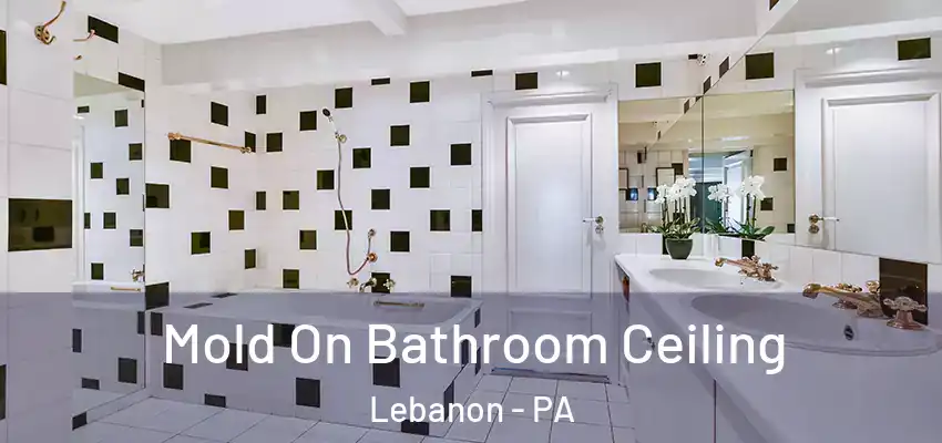  Mold On Bathroom Ceiling Lebanon - PA