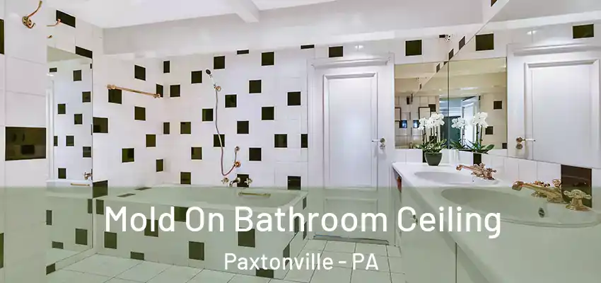 Mold On Bathroom Ceiling Paxtonville - PA