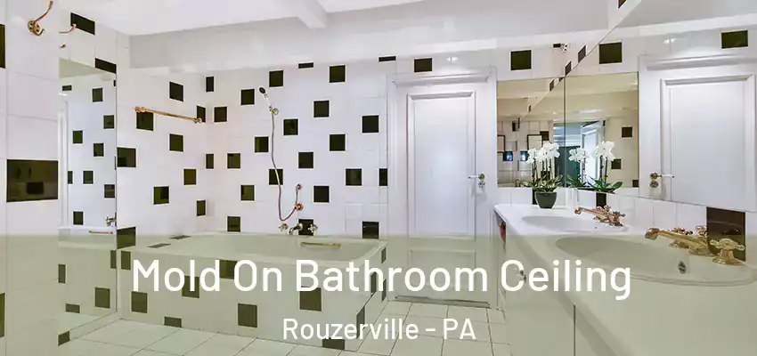 Mold On Bathroom Ceiling Rouzerville - PA