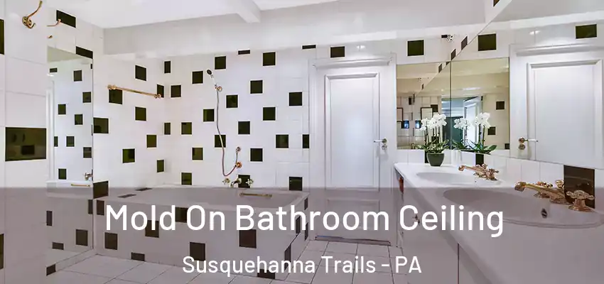  Mold On Bathroom Ceiling Susquehanna Trails - PA