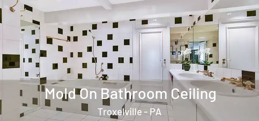  Mold On Bathroom Ceiling Troxelville - PA