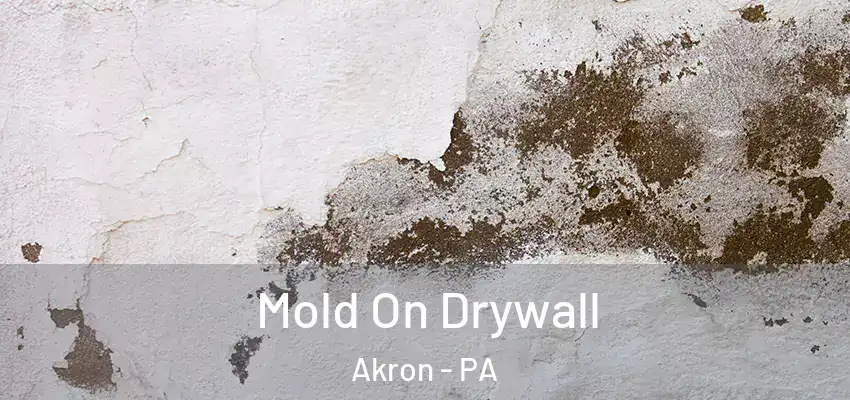 Mold On Drywall Akron - PA