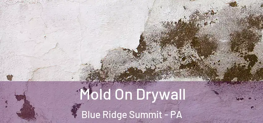  Mold On Drywall Blue Ridge Summit - PA