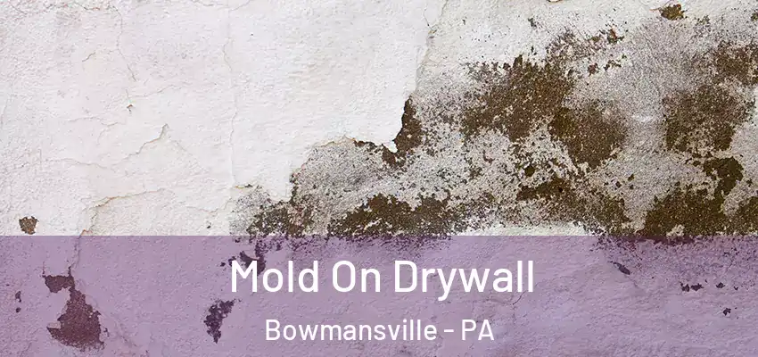  Mold On Drywall Bowmansville - PA