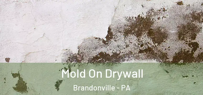 Mold On Drywall Brandonville - PA