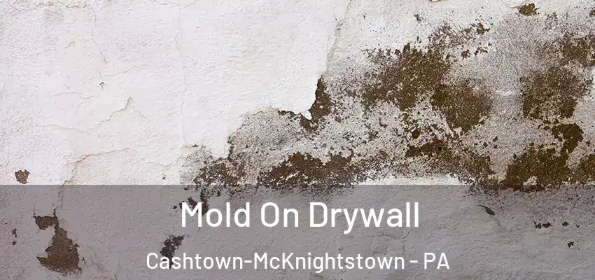  Mold On Drywall Cashtown-McKnightstown - PA