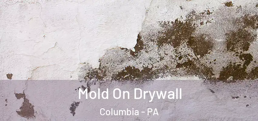  Mold On Drywall Columbia - PA