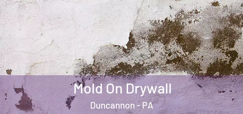  Mold On Drywall Duncannon - PA
