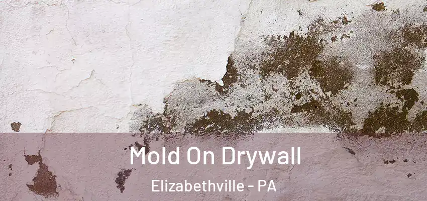 Mold On Drywall Elizabethville - PA