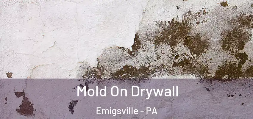  Mold On Drywall Emigsville - PA
