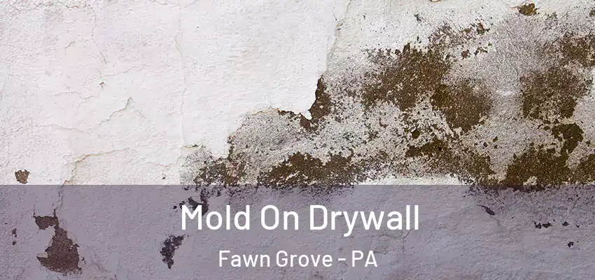 Mold On Drywall Fawn Grove - PA