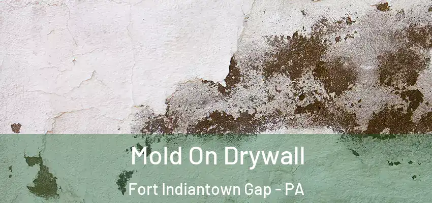 Mold On Drywall Fort Indiantown Gap - PA