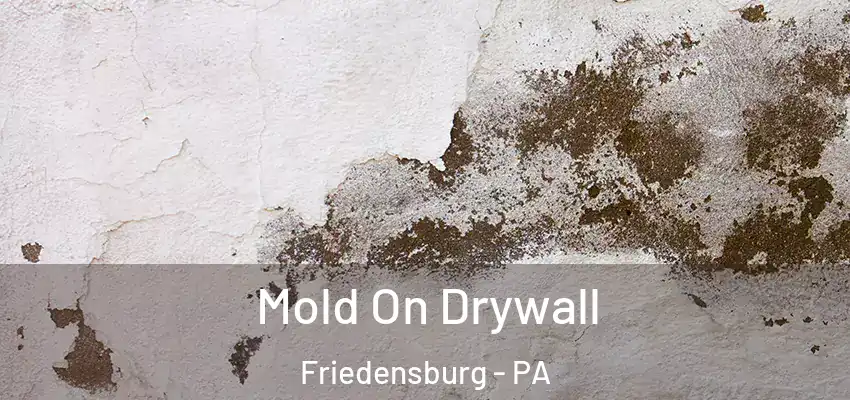 Mold On Drywall Friedensburg - PA