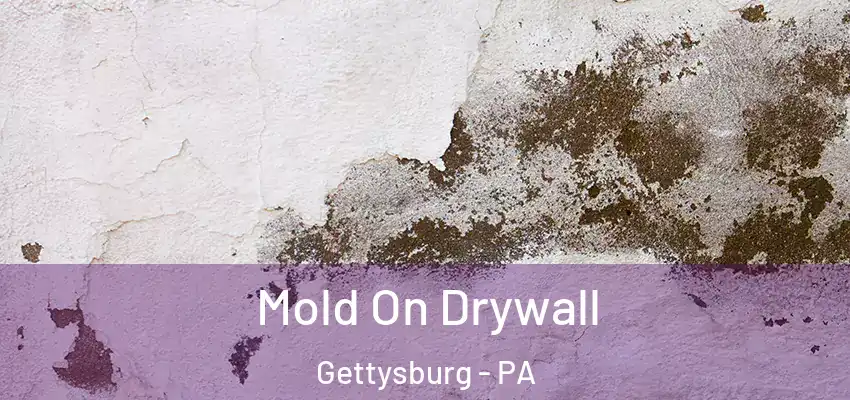  Mold On Drywall Gettysburg - PA