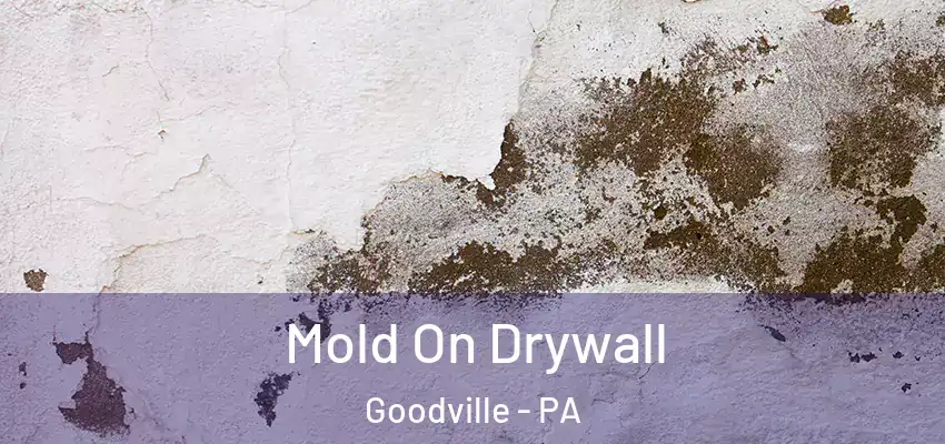  Mold On Drywall Goodville - PA