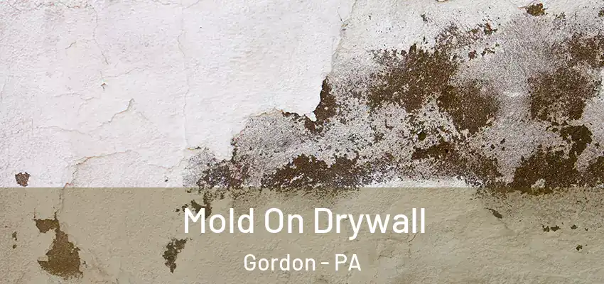 Mold On Drywall Gordon - PA
