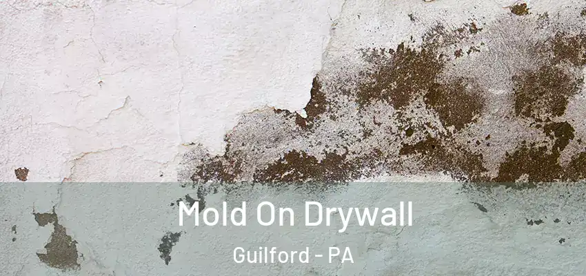  Mold On Drywall Guilford - PA