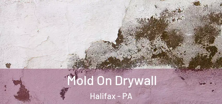 Mold On Drywall Halifax - PA
