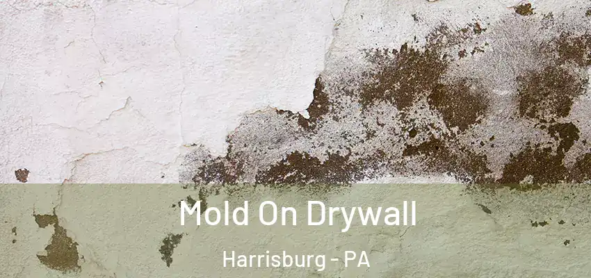  Mold On Drywall Harrisburg - PA