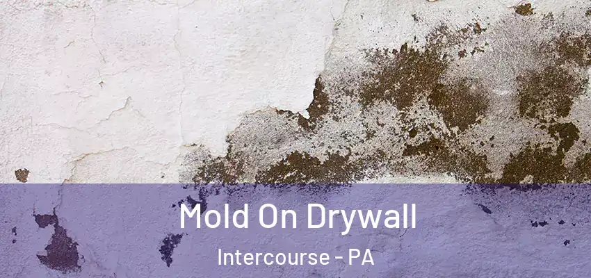 Mold On Drywall Intercourse - PA