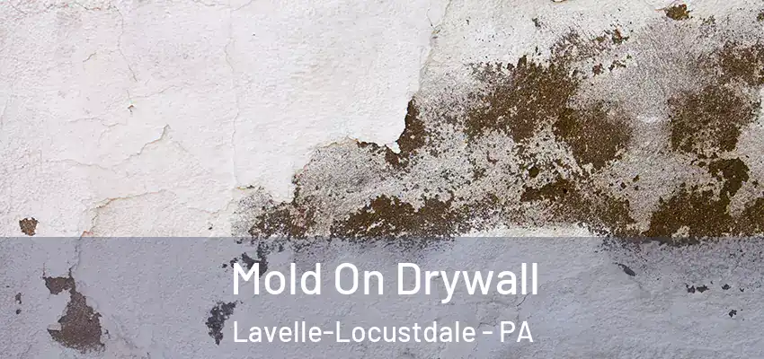 Mold On Drywall Lavelle-Locustdale - PA