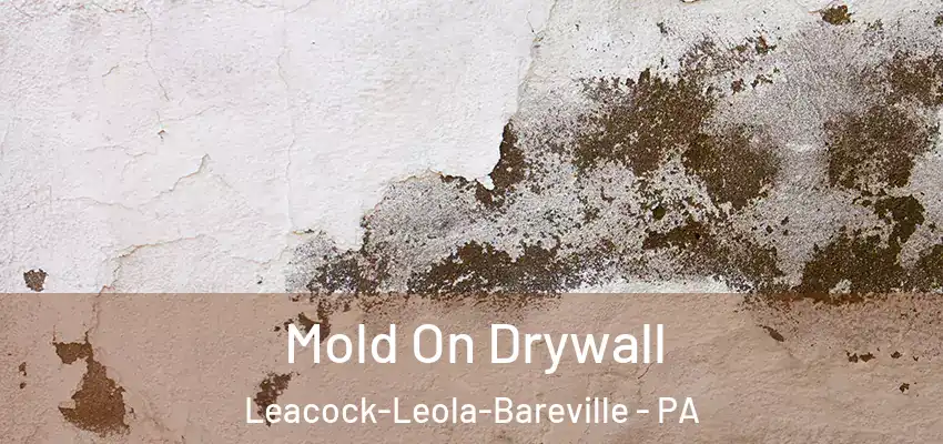  Mold On Drywall Leacock-Leola-Bareville - PA