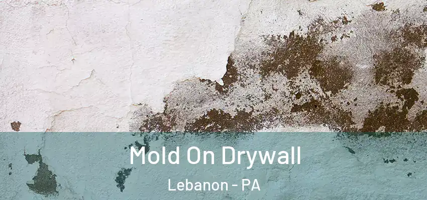  Mold On Drywall Lebanon - PA