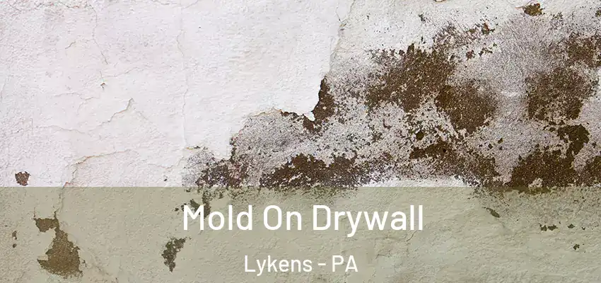 Mold On Drywall Lykens - PA