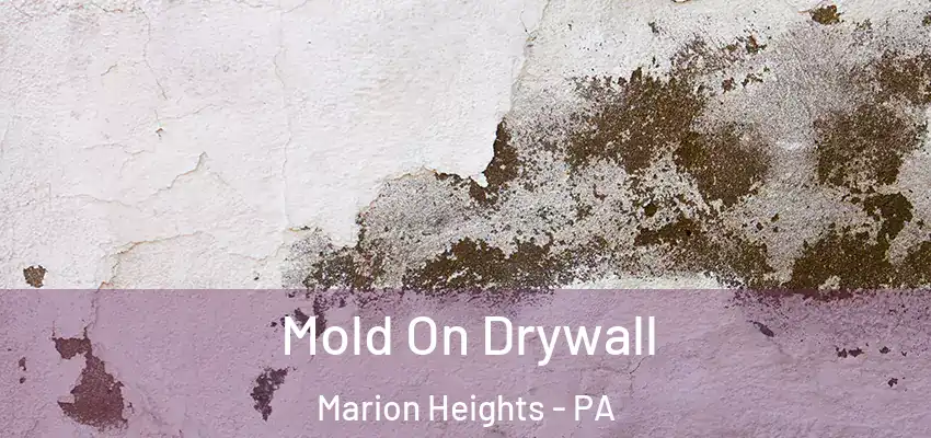 Mold On Drywall Marion Heights - PA