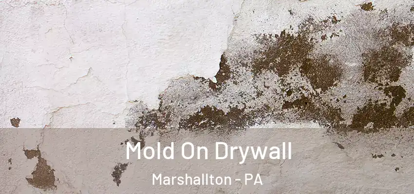 Mold On Drywall Marshallton - PA