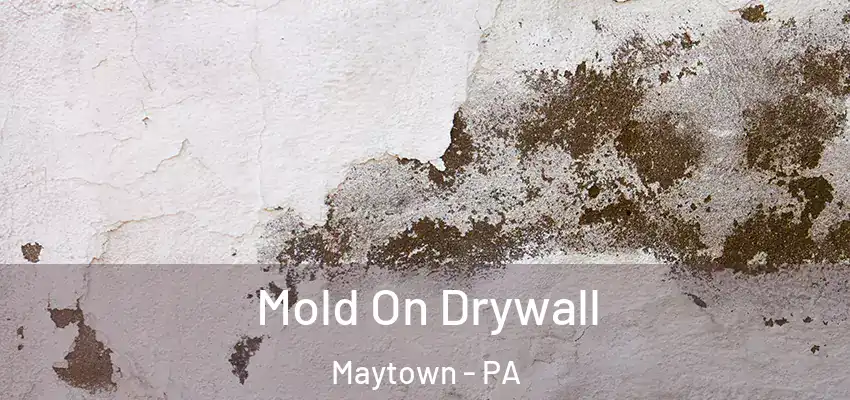  Mold On Drywall Maytown - PA